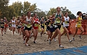 2010CIF XC GD3-0497
